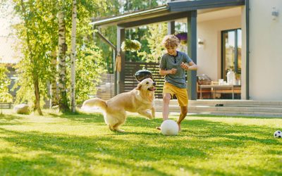 Manage your child’s myopia (short-sightedness) with MiSight® 1 day contact lenses